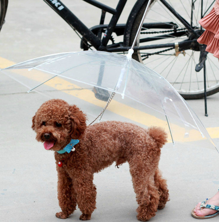 Stylish Premium Dog Umbrella - Keep Your Pup Dry in Any Weather!